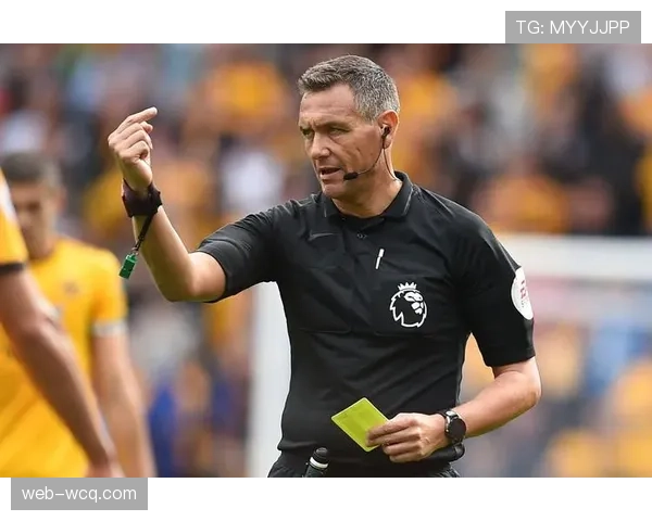 独家专访裁判丹尼尔·施拉格:谈VAR使用心得与执法压力 独家专访裁判丹尼尔·施拉格:谈VAR使用心得与执法压力